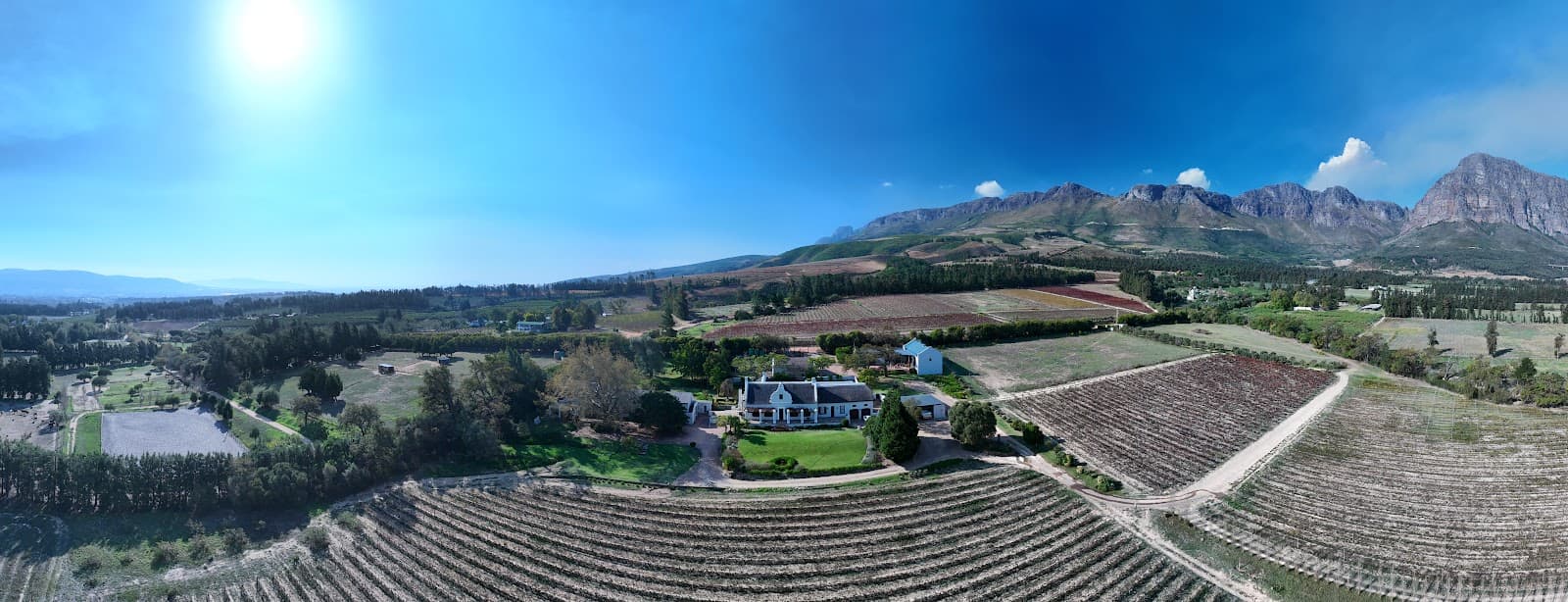 Olsen Private Vineyards, Paarl, Western Cape
