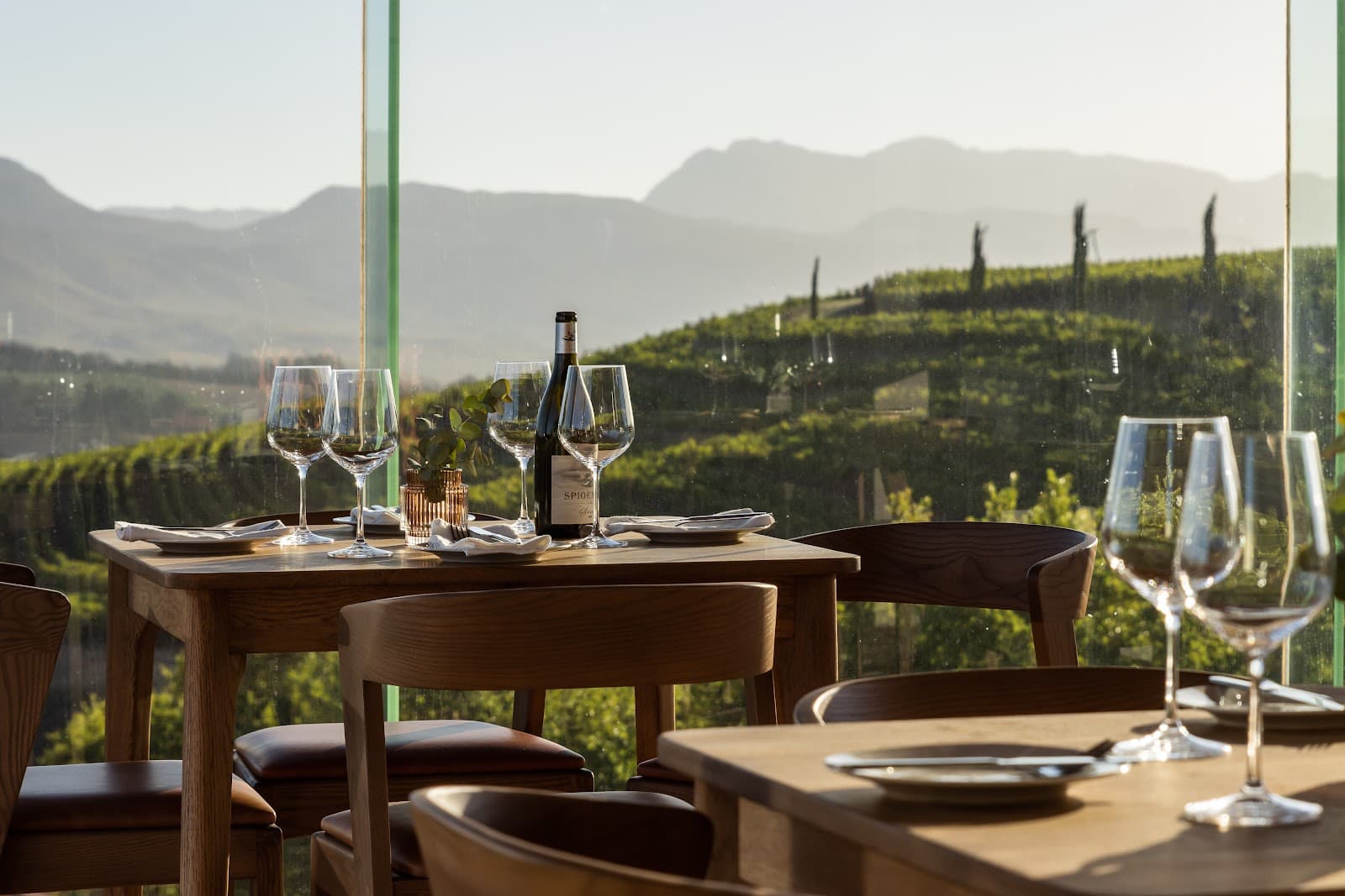 Spioenkop Wines, Elgin, Western Cape