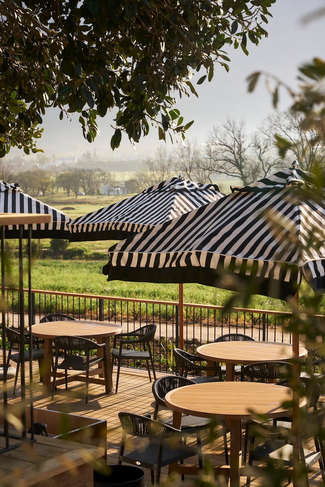 Rickety Bridge Winery, Franschhoek, Western Cape