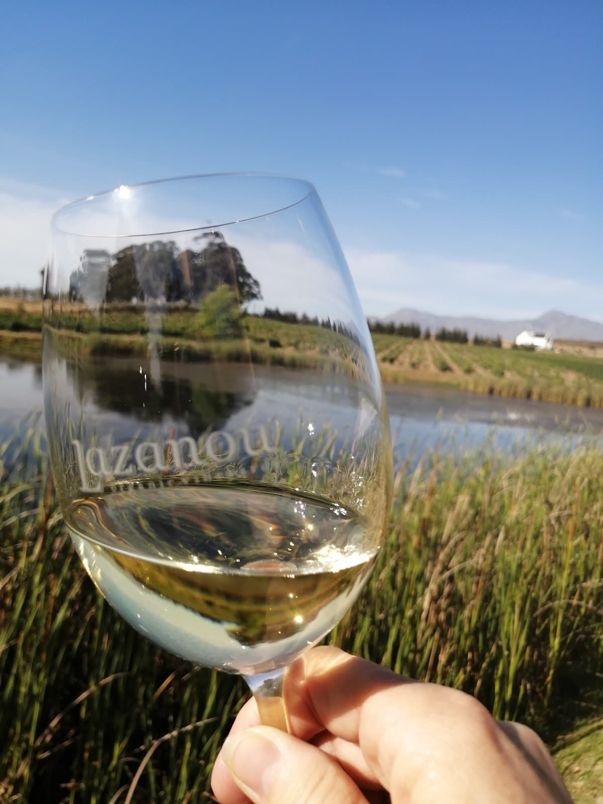 Lazanou Organic Vineyards, Wellington, Western Cape