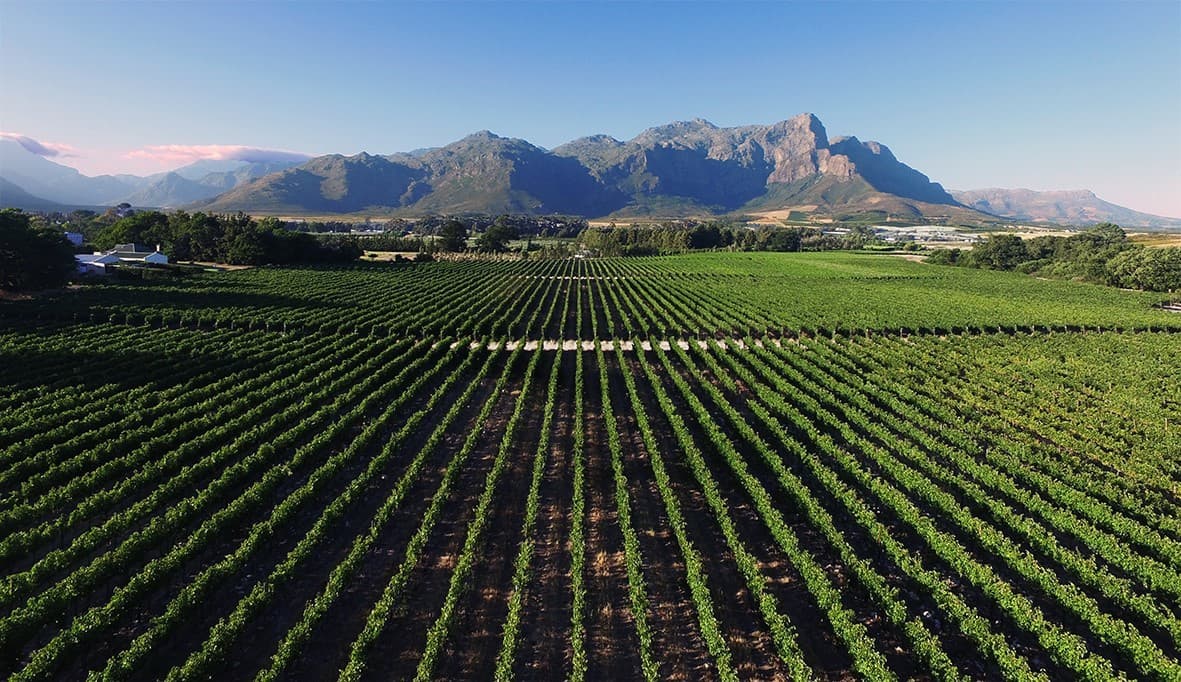 Lynx Wines, Franschhoek, Western Cape