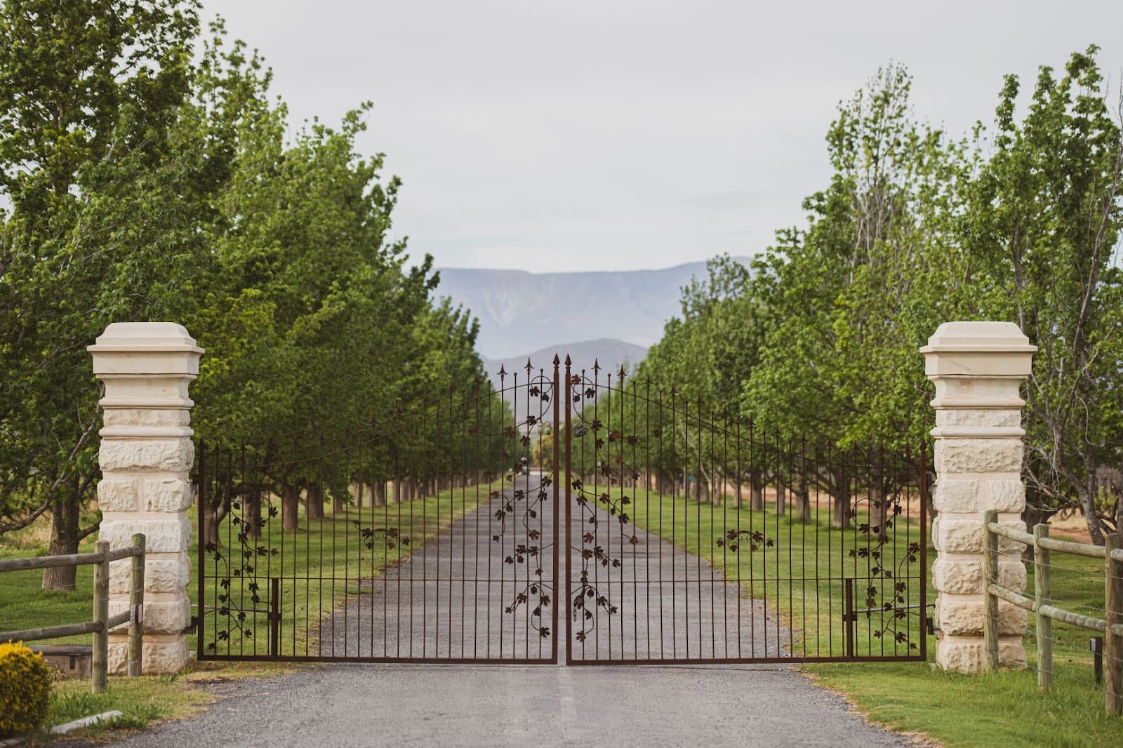 Springfield Estate, Robertson, Western Cape