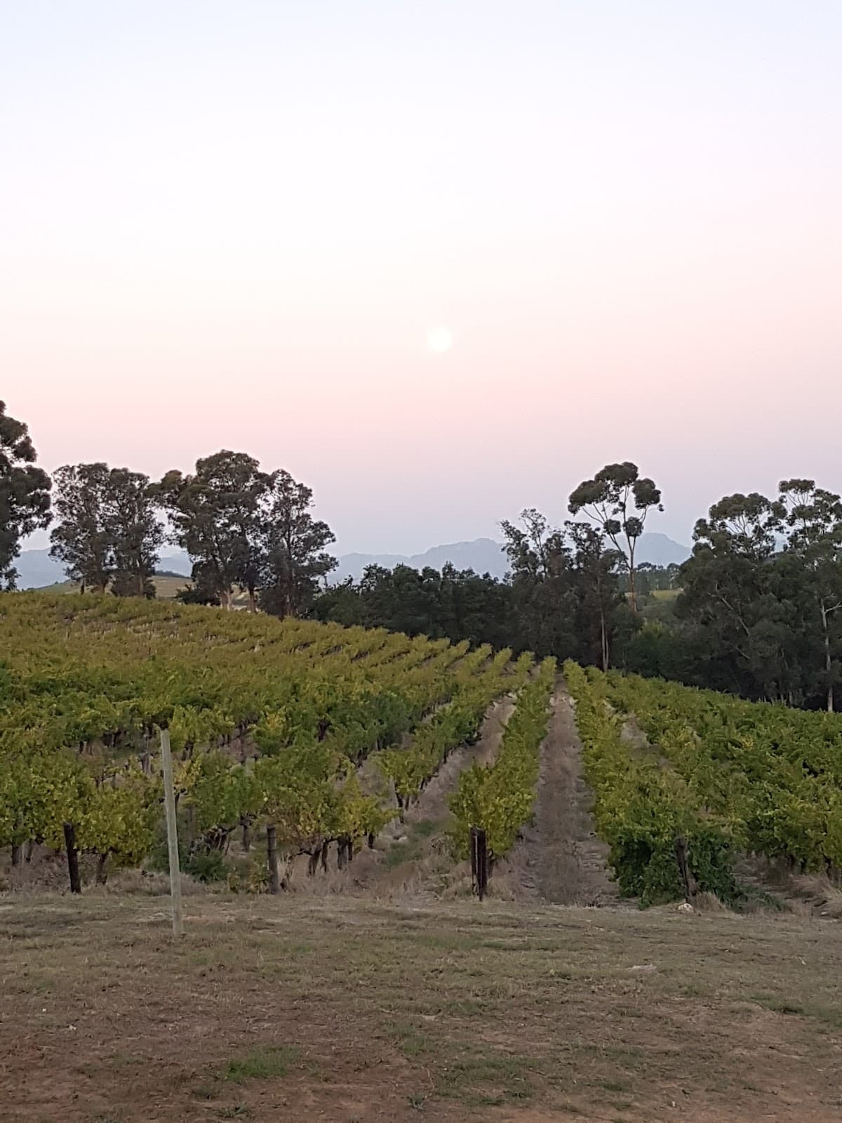 Le Bonheur, Stellenbosch, Western Cape