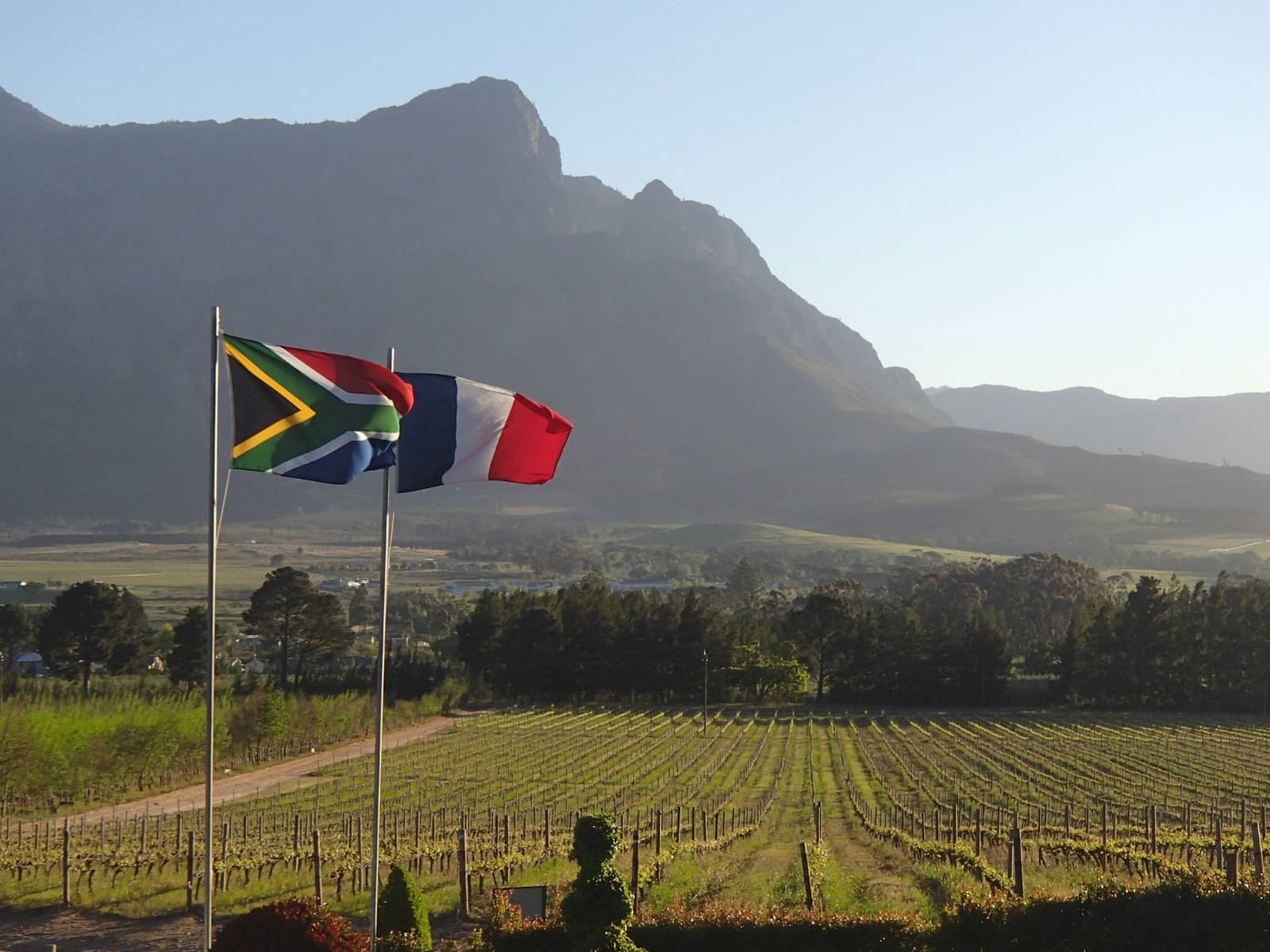 Topiary Wines, Franschhoek, Western Cape