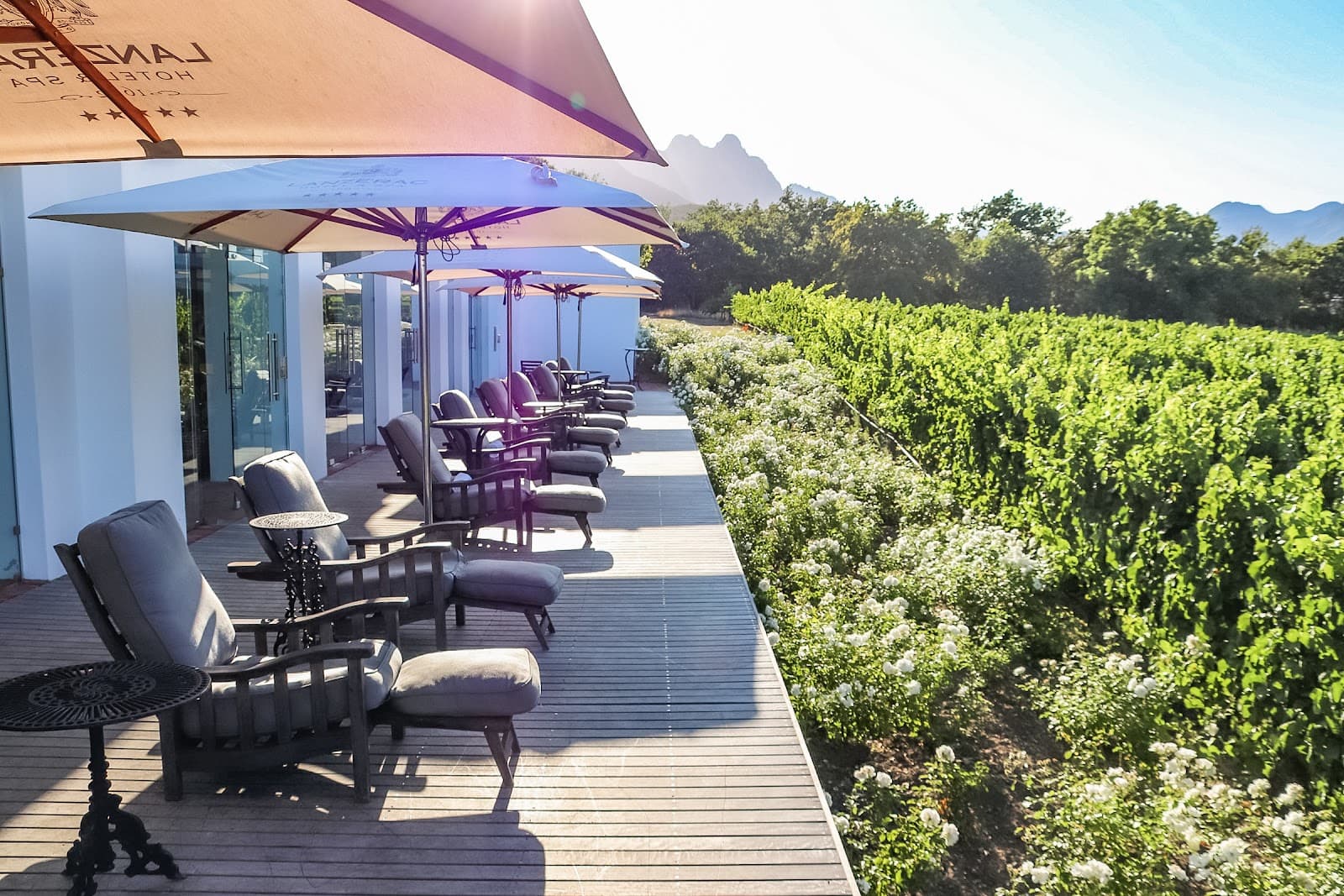Lanzerac Wines, Stellenbosch, Western Cape