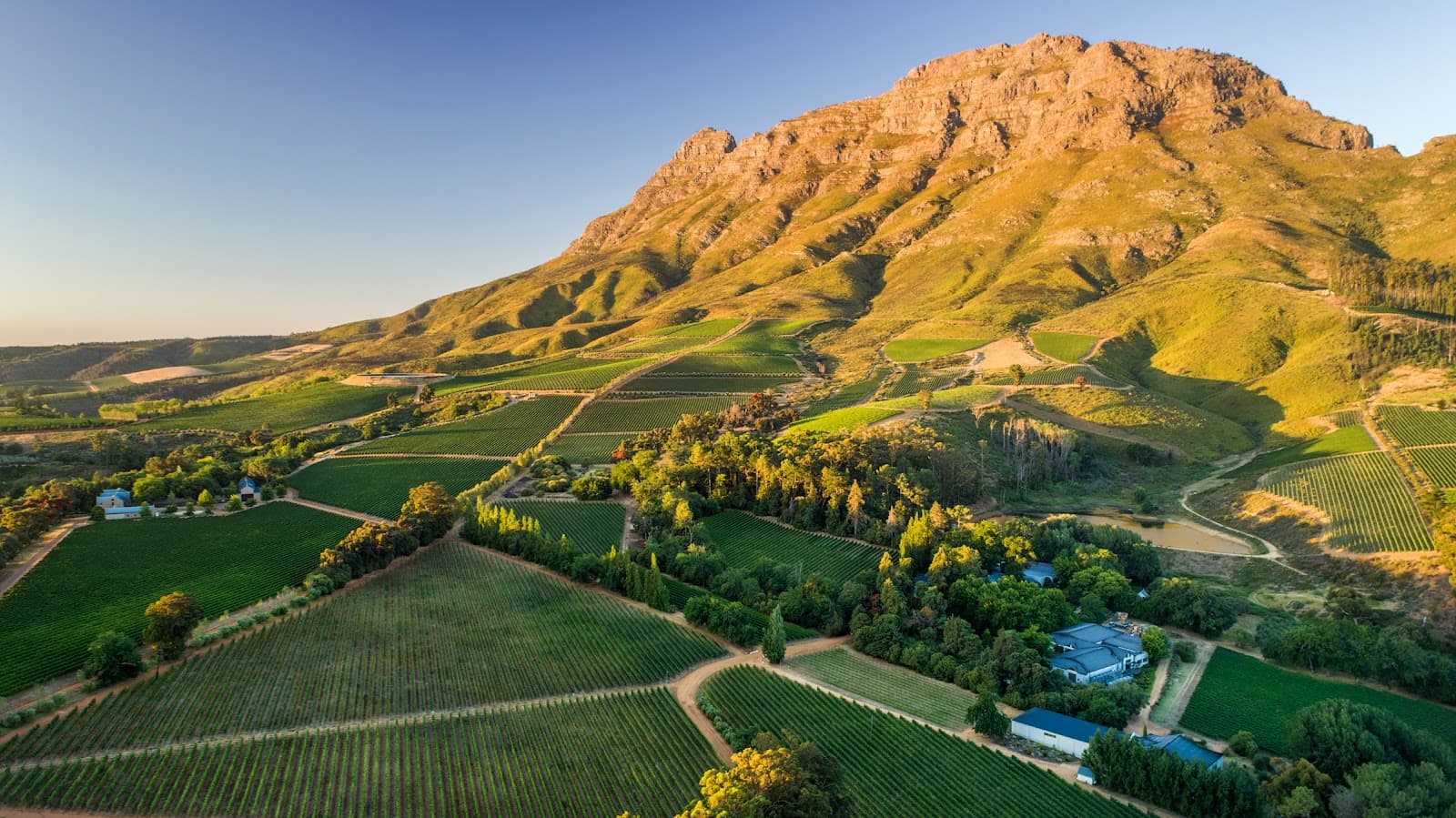 Thelema Mountain Vineyards, Stellenbosch, Western Cape