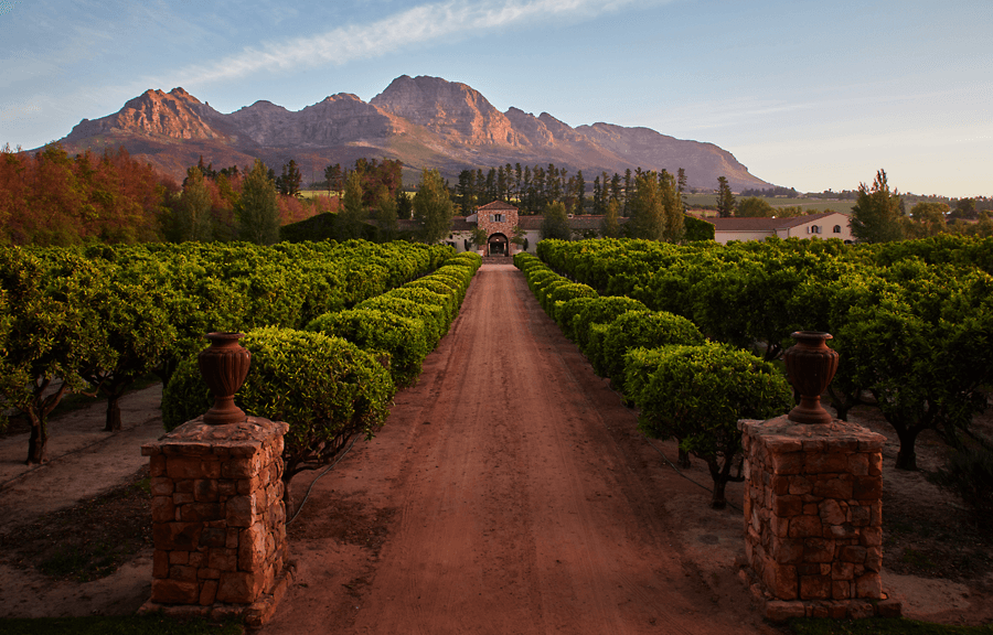 Waterford Estate, Stellenbosch, Western Cape