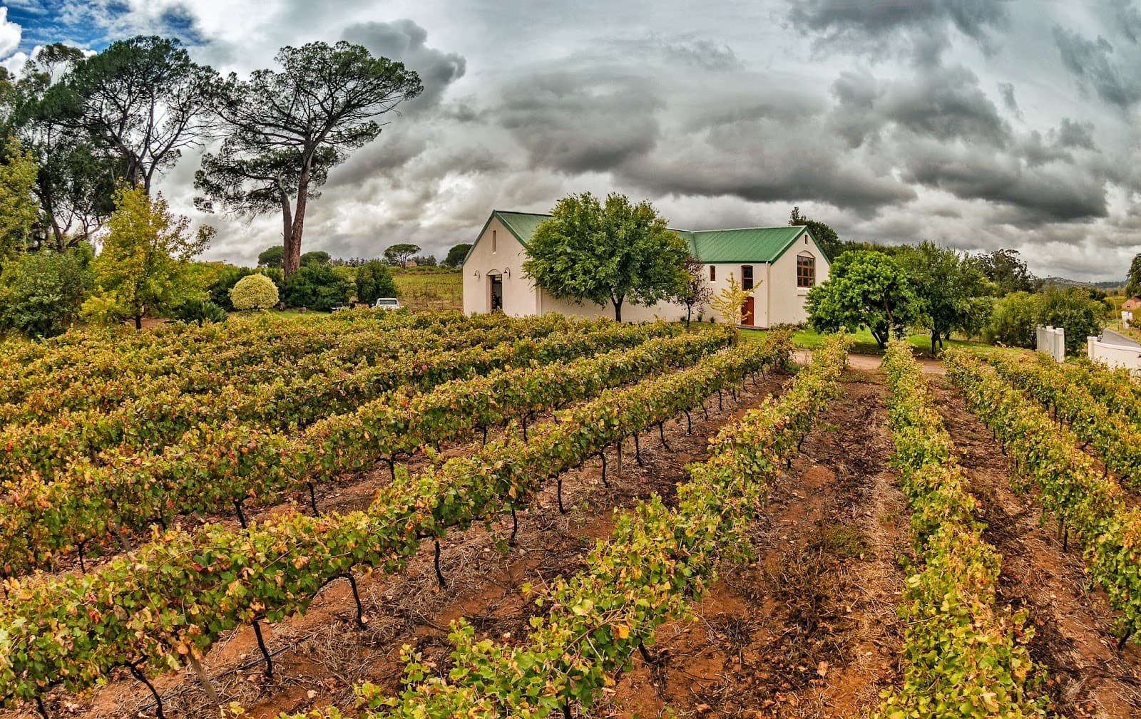 Le Riche Wines, Stellenbosch, Western Cape