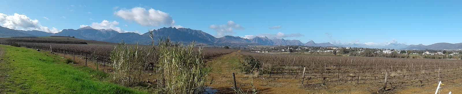 Versailles Wines, Wellington, Western Cape