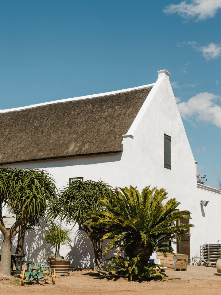 Groote Post Vineyards, Darling, Western Cape