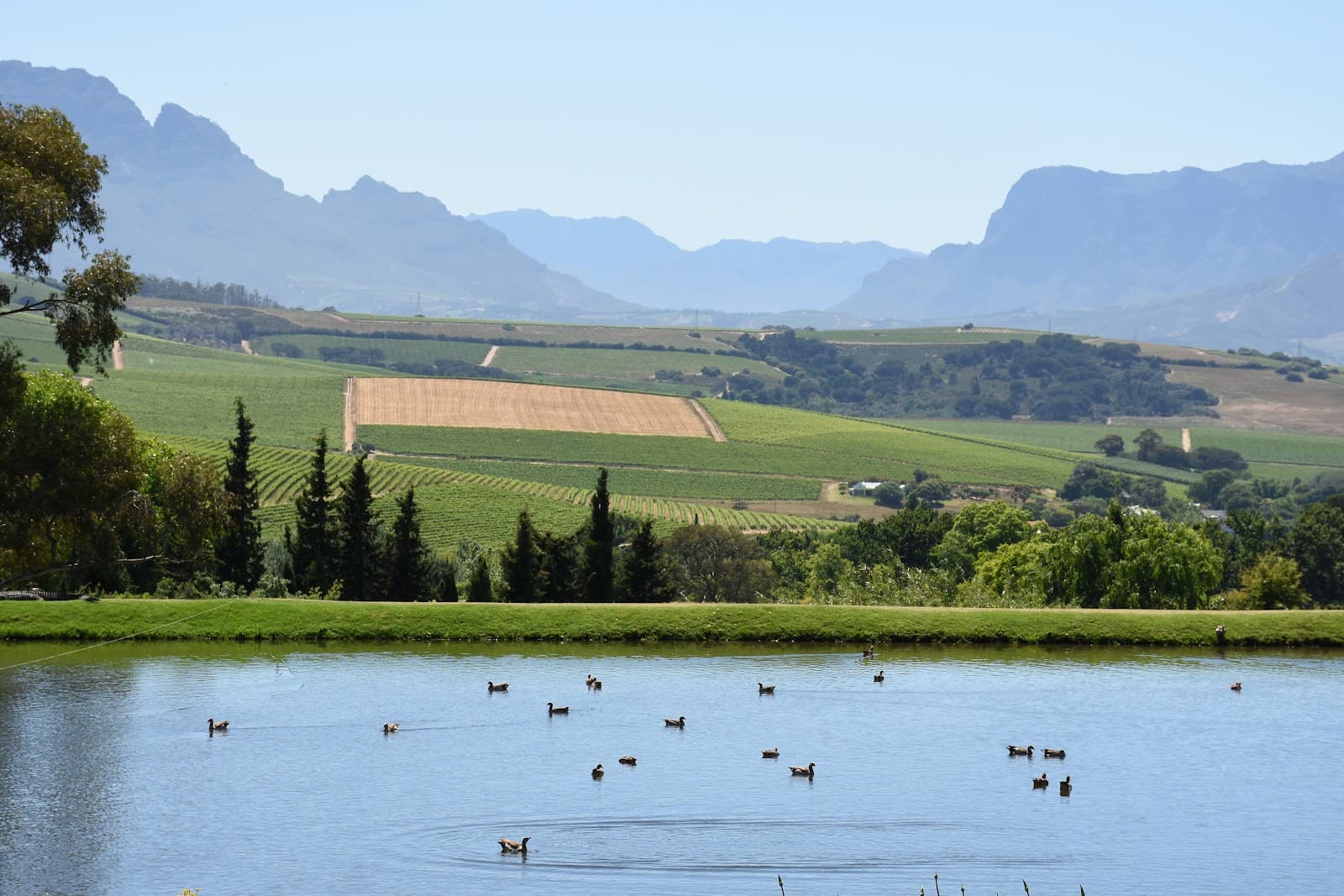 Jordan Wine Estate, Stellenbosch, Western Cape
