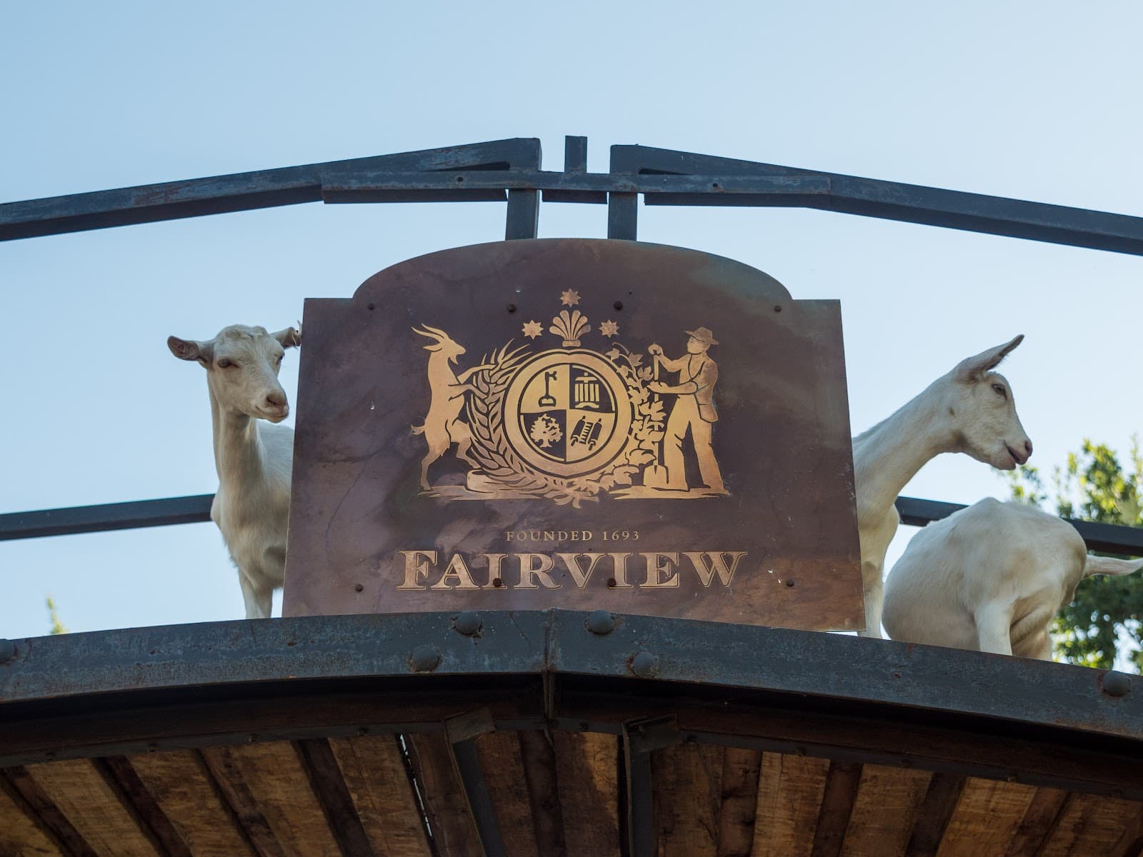 Fairview, Paarl, Western Cape
