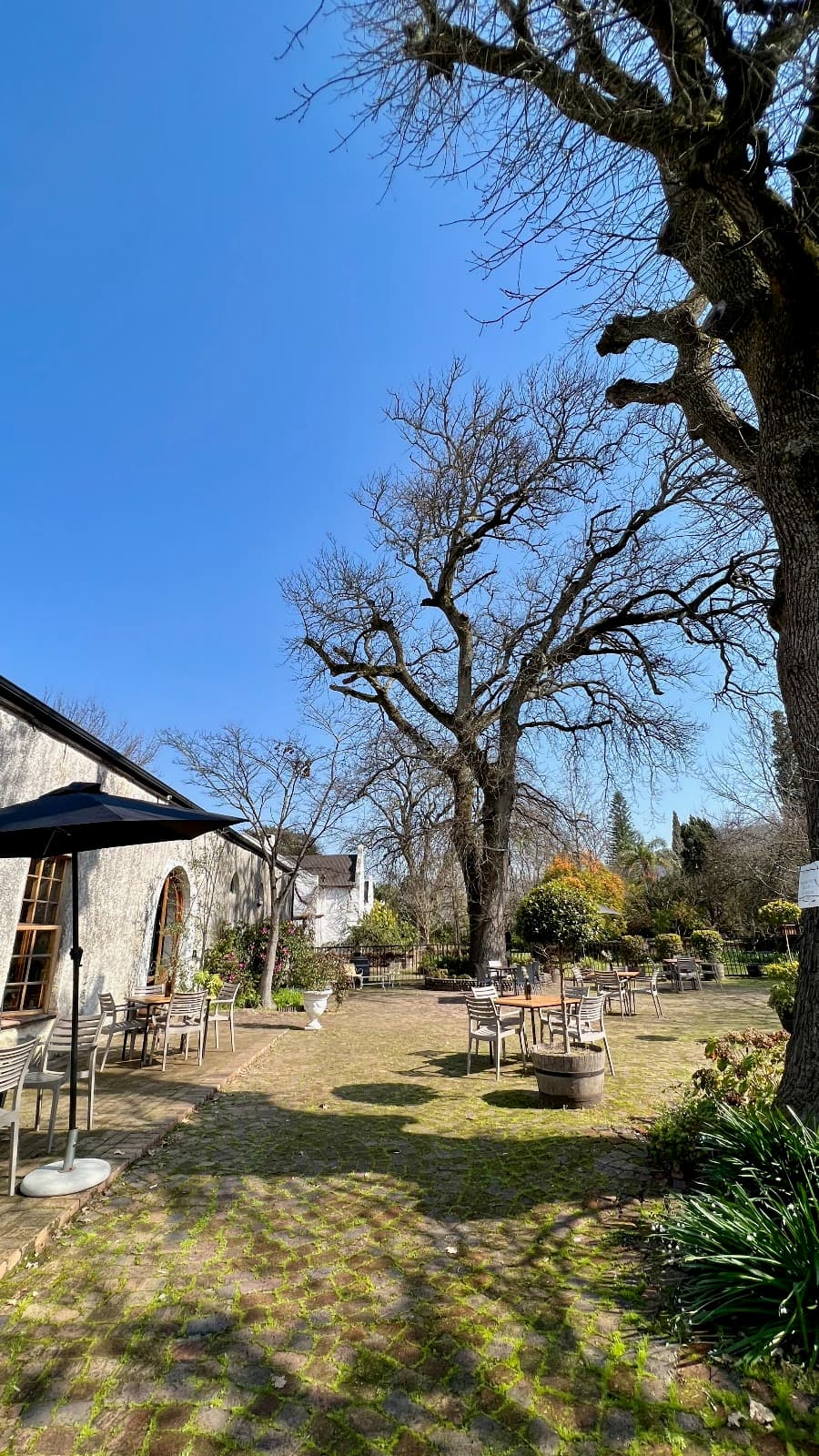 Vendôme Wine Estate, Paarl, Western Cape