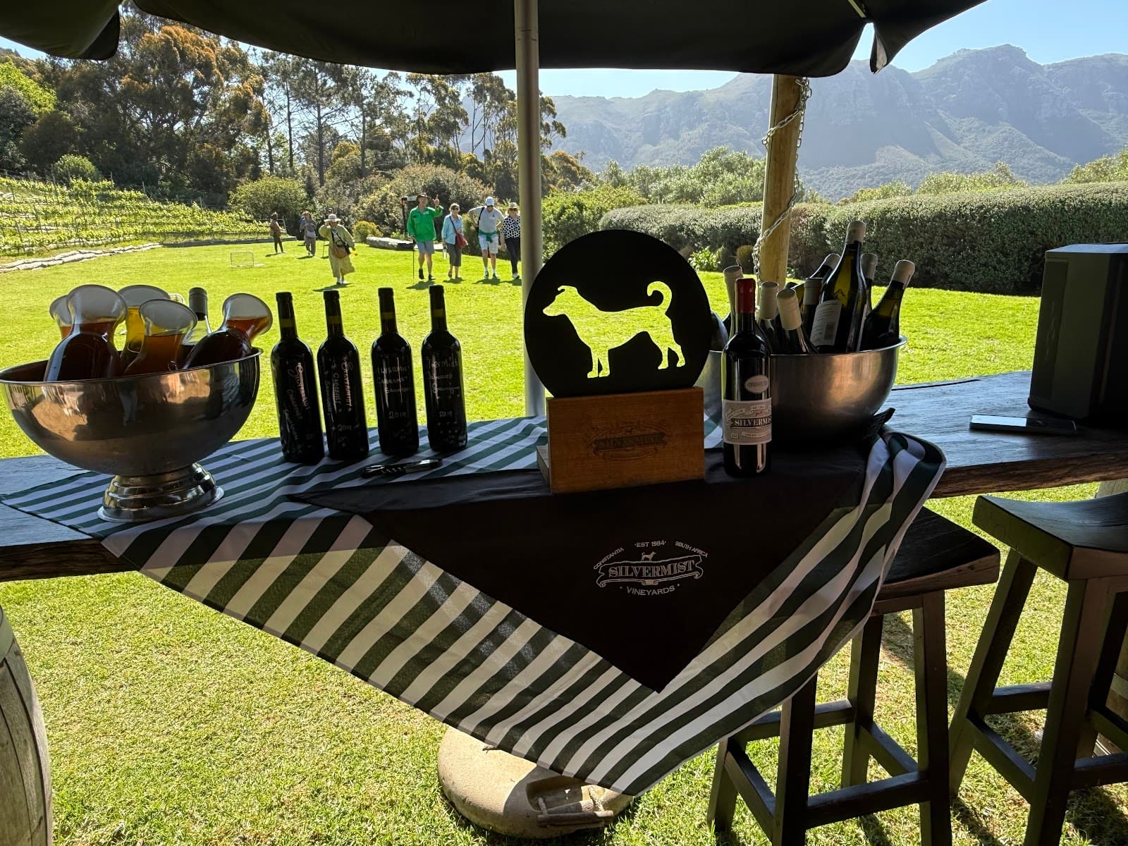 Silvermist Vineyards, Hout Bay, Western Cape