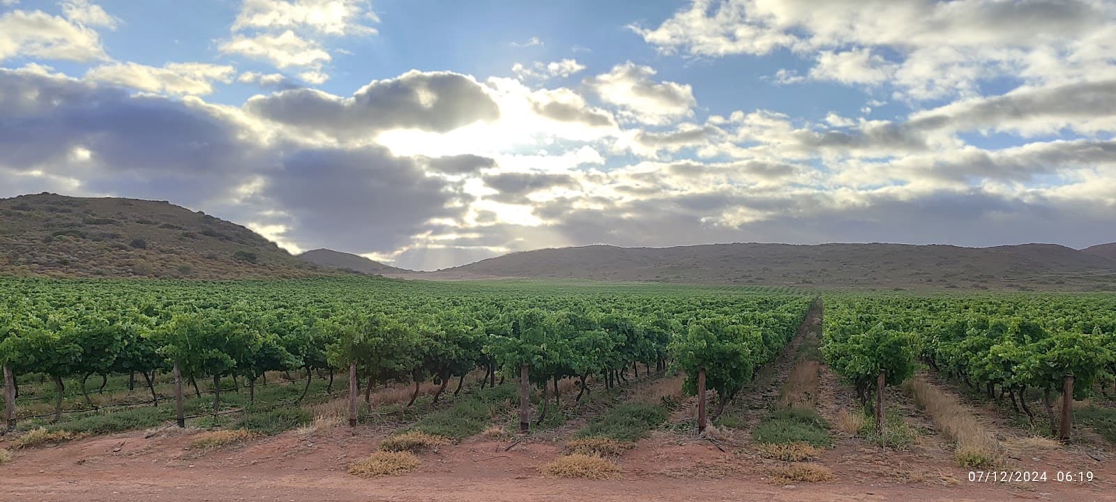 Langverwacht Cellar, Bonnievale, Western Cape