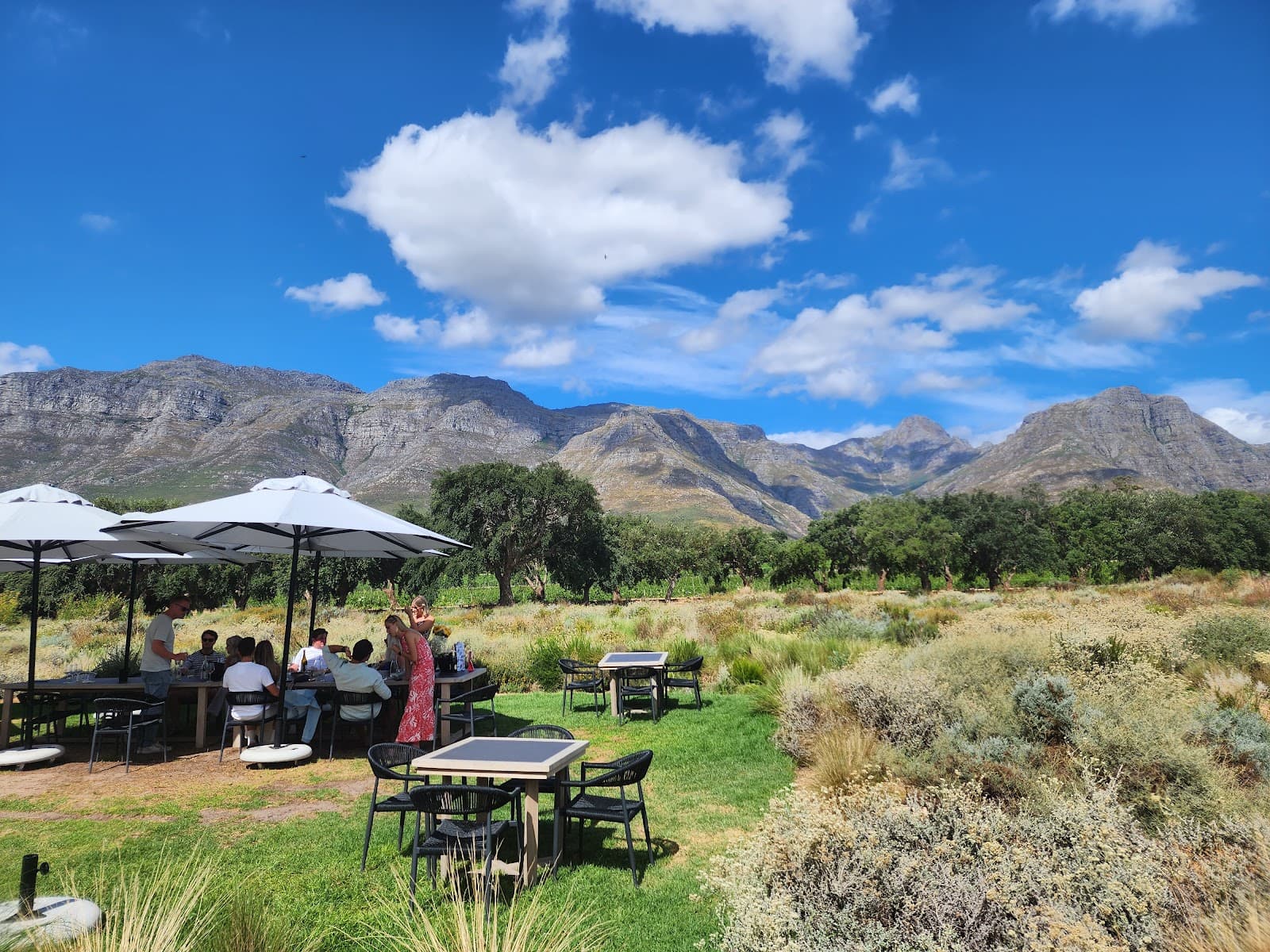 Stellenzicht Vineyards, Stellenbosch, Western Cape