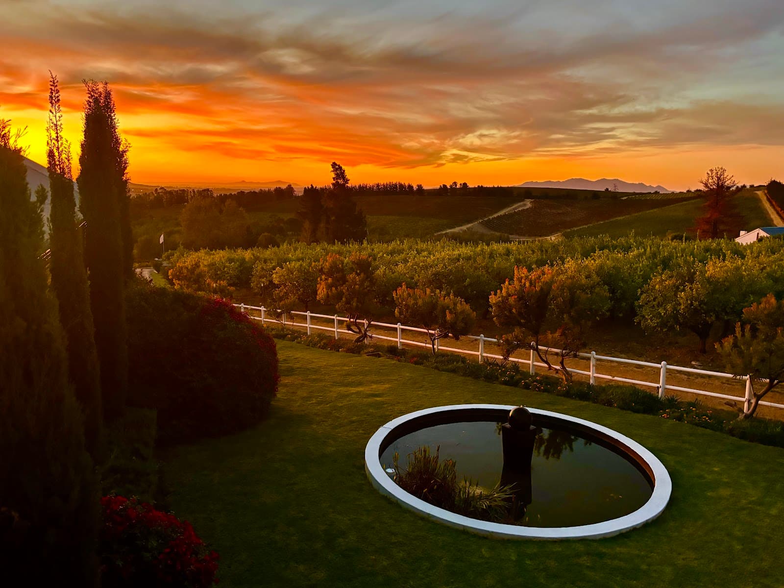 Marianne Wine Estate, Stellenbosch, Western Cape