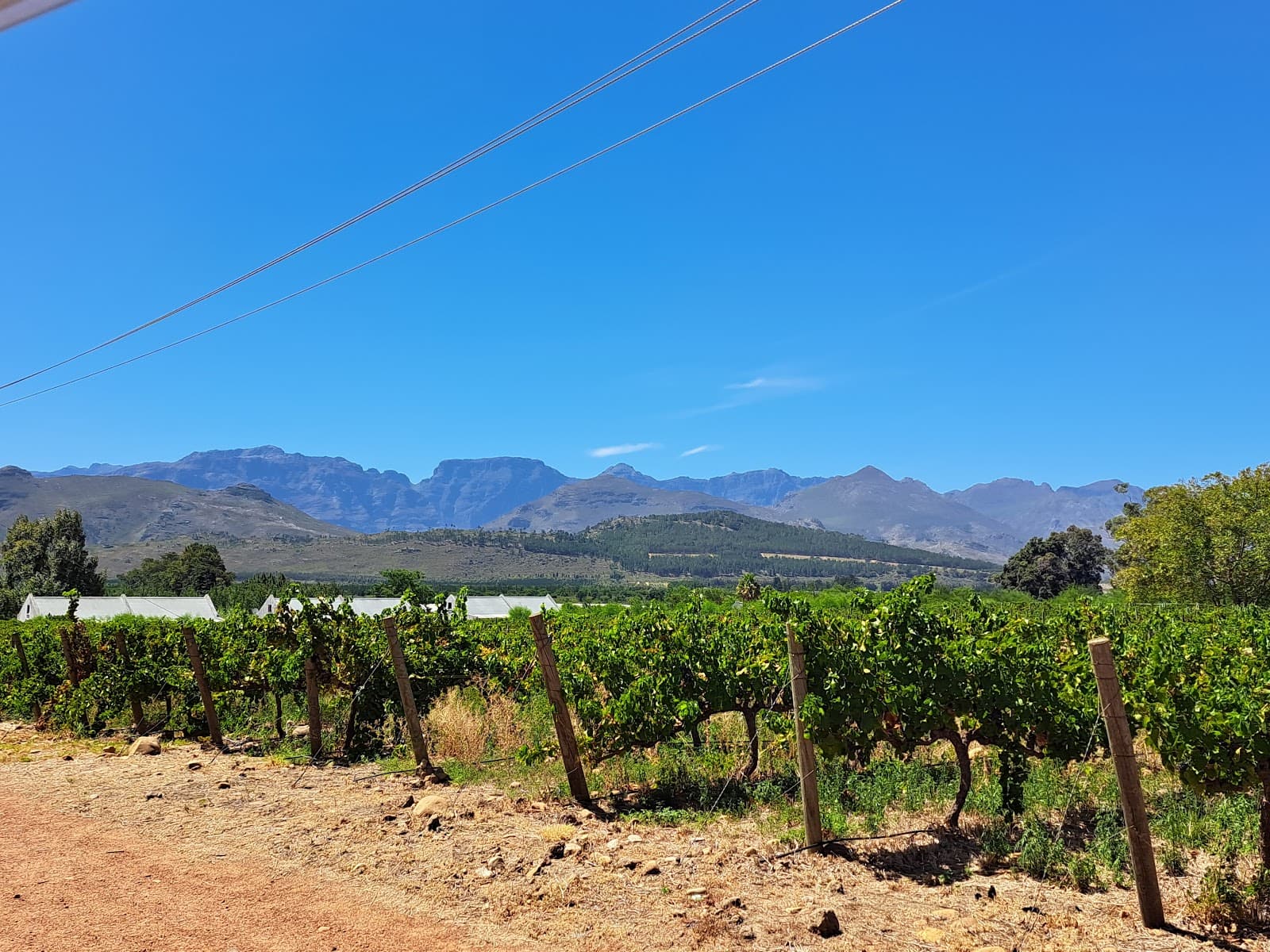 Solms-Delta Wine Estate, Franschhoek, Western Cape