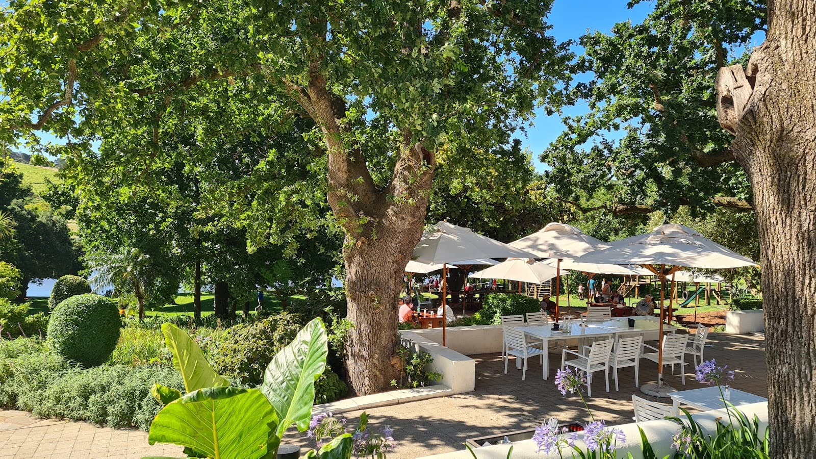 Rhebokskloof Wine Estate, Paarl, Western Cape