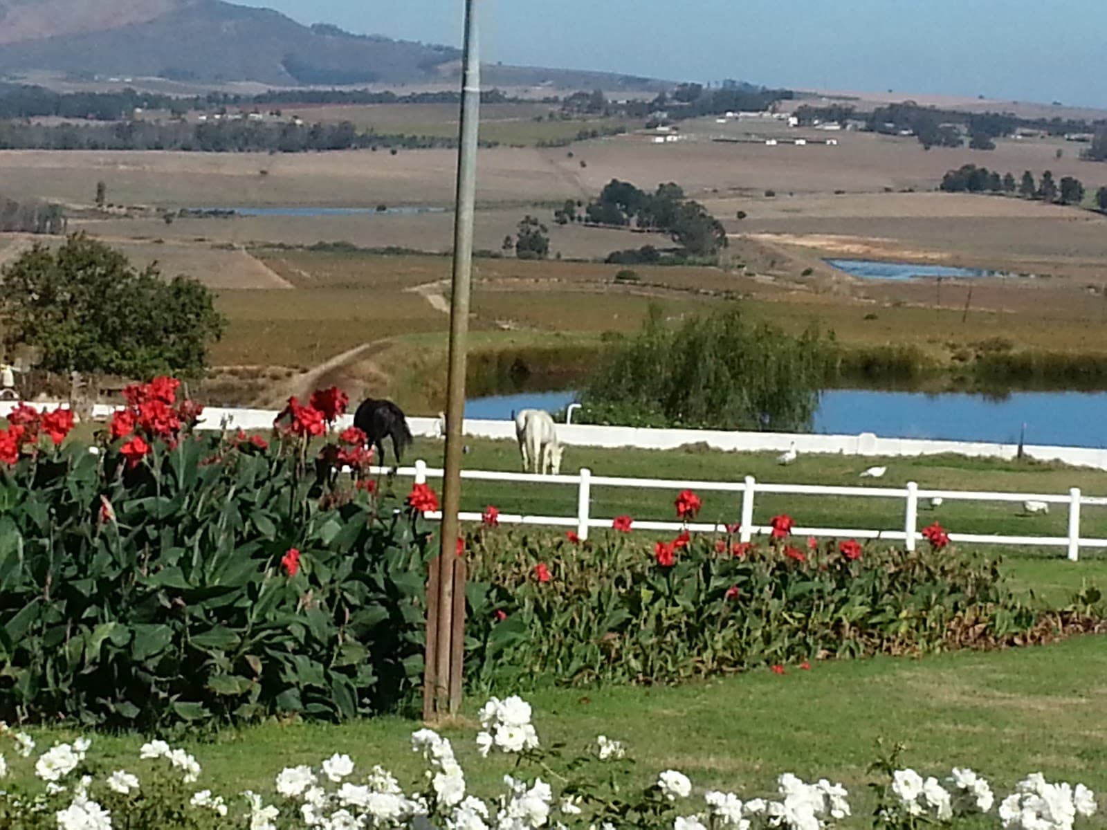 Landskroon, Paarl, Western Cape