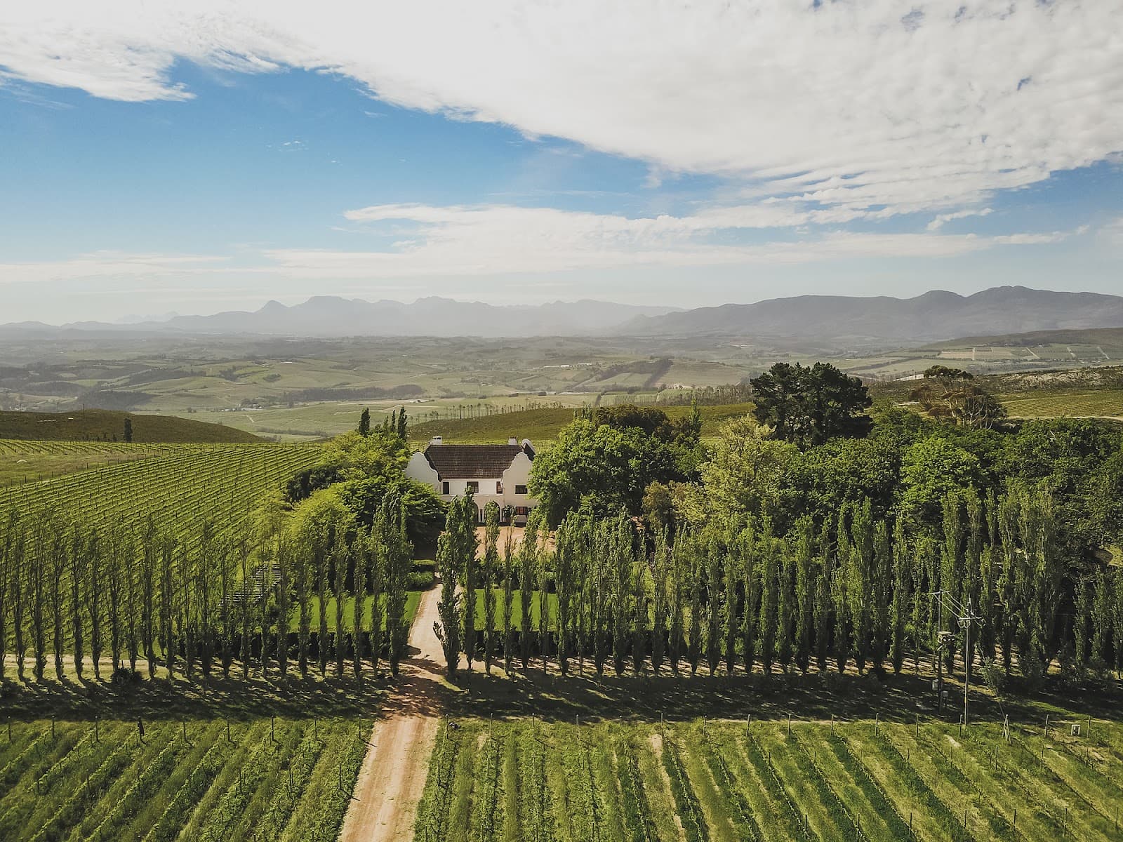 Iona Vineyards, Elgin, Western Cape