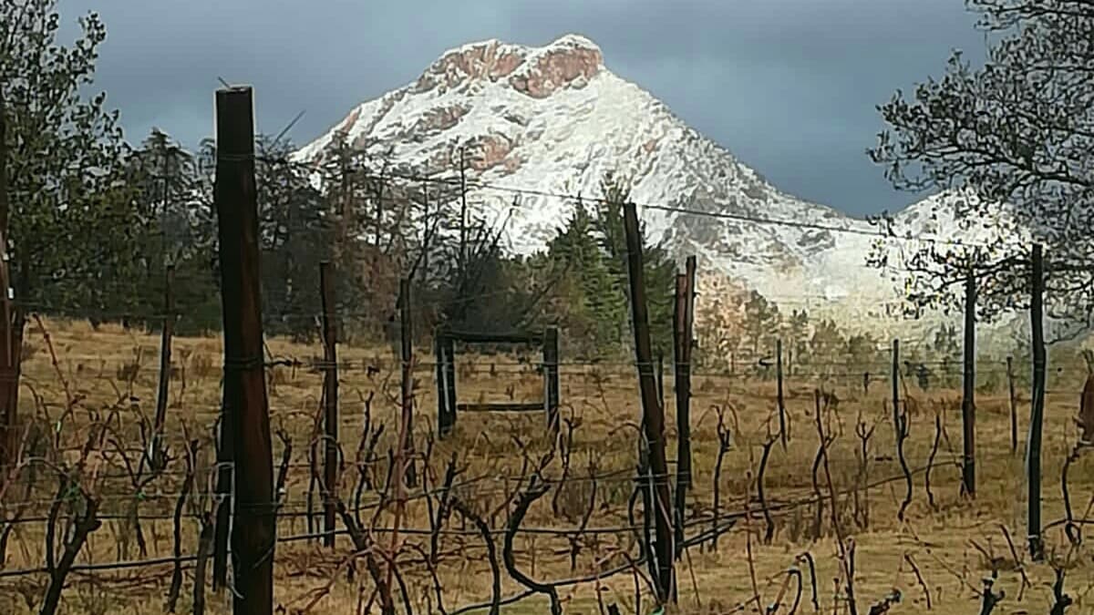Herold Wines, Garden Route, Western Cape