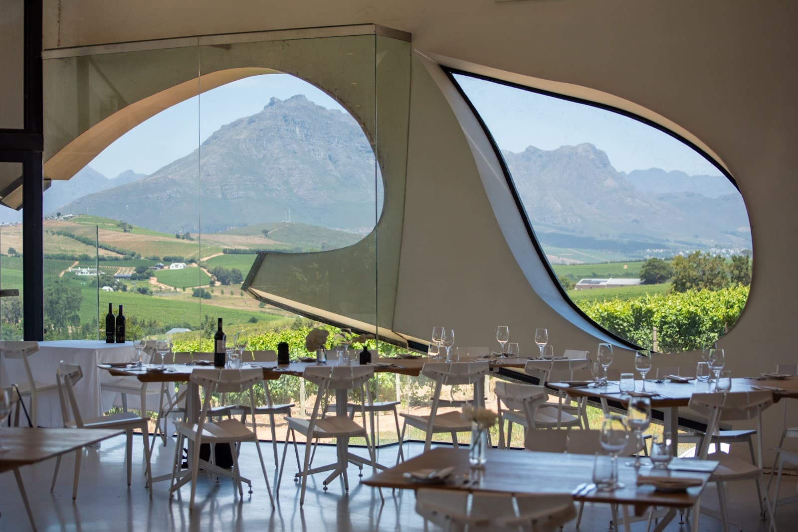 Louisvale Wines, Stellenbosch, Western Cape